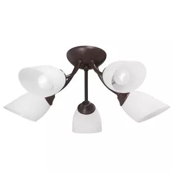 Люстра VITALUCE V3404/5PL