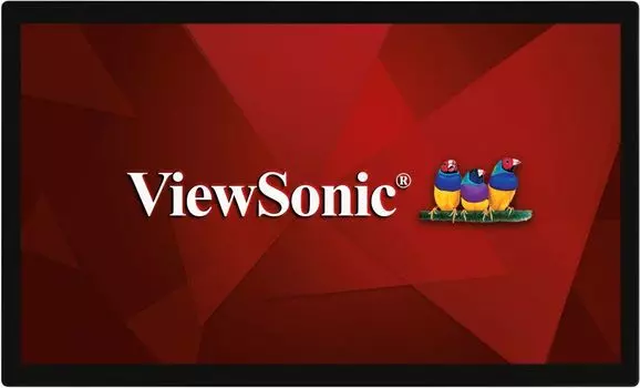 Монитор ViewSonic 31.5'' TD3207 Серебристый