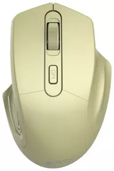 Мышь беспроводная Canyon CNE-CMSW15GO
