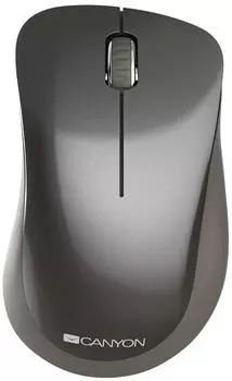 Мышь беспроводная Canyon CNS-CMSW911DG