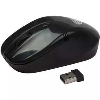 Мышь Ritmix RMW-111 Black