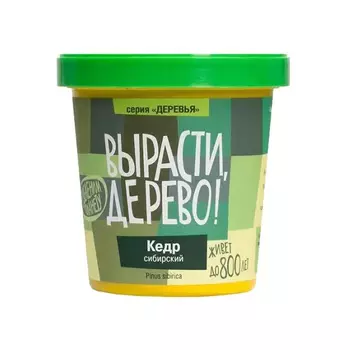 Набор для выращивания ВЫРАСТИ ДЕРЕВО! zk-001 Кедр сибирский