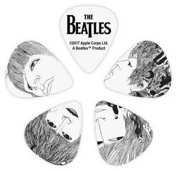 Набор медиаторов 10 шт. PLANET WAVES 1CWH4-10B1