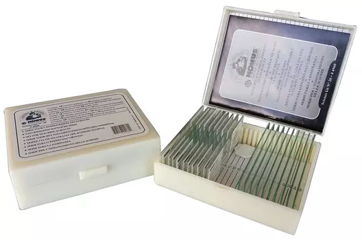 Набор микропрепаратов Konus 10: «Естественные науки»