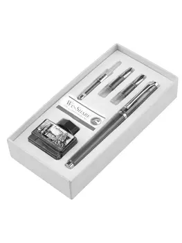 Набор Pierre Cardin We-Share PCW-001-1 Gey (ручка перьевая + 2 пера + чернила + конвертер)