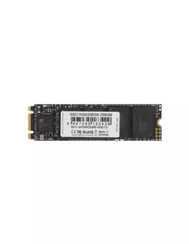 Накопитель SSD AMD 256Gb (R5M256G8)
