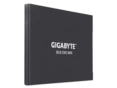 Накопитель SSD GigaByte UD PRO 256Gb (GP-GSTFS30256GTTD)