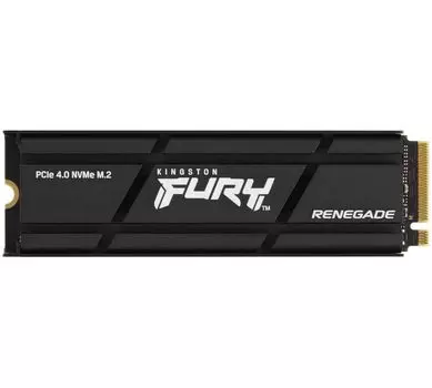 Накопитель SSD Kingston 500GB SFYRSK/500G