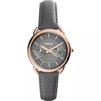 Наручные часы Fossil ES3913
