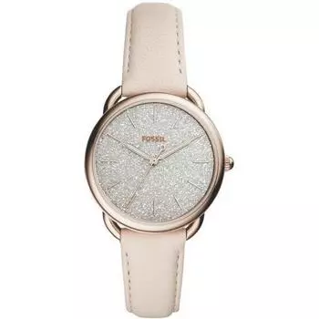 Наручные часы Fossil ES4421