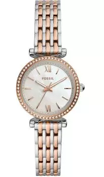 Наручные часы Fossil ES4649