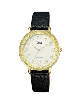 Наручные часы Q&amp;Q QC09-124