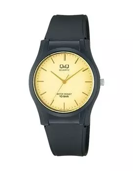 Наручные часы Q&amp;Q VQ02-002