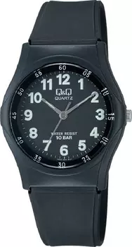 Наручные часы Q&amp;Q VQ04-004
