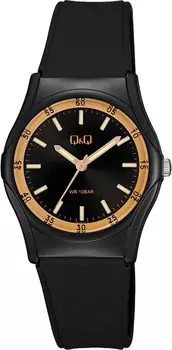 Наручные часы Q&amp;Q VQ04-016
