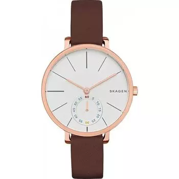 Наручные часы Skagen Leather SKW2356