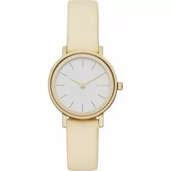 Наручные часы Skagen Leather SKW2444
