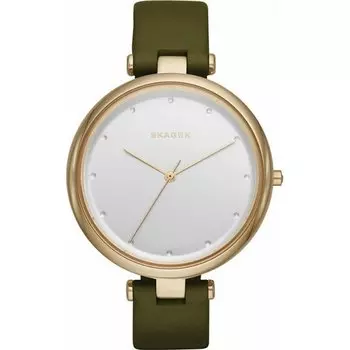 Наручные часы Skagen Leather SKW2483