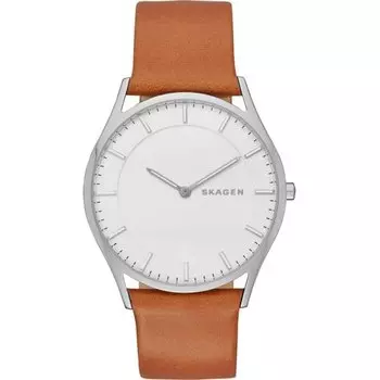 Наручные часы Skagen Leather SKW6219