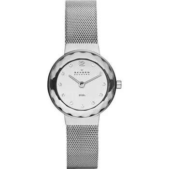 Наручные часы Skagen Mesh 456SSS