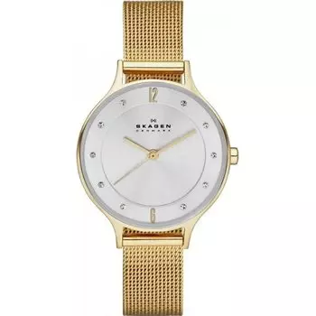 Наручные часы Skagen Mesh SKW2150