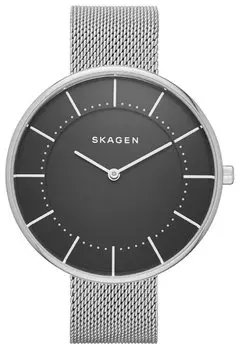Наручные часы Skagen Mesh SKW2561