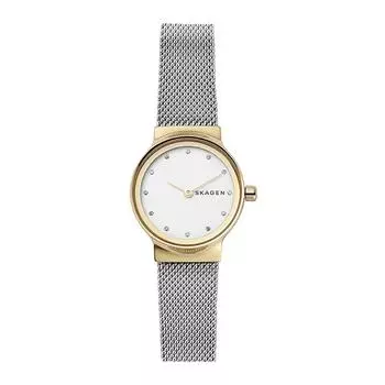 Наручные часы Skagen SKW2666