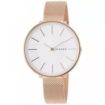 Наручные часы Skagen SKW2688