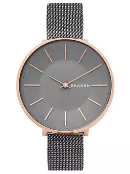 Наручные часы Skagen SKW2689