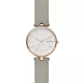 Наручные часы Skagen SKW2710
