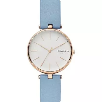 Наручные часы Skagen SKW2711