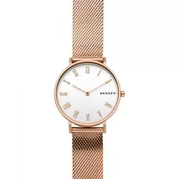 Наручные часы Skagen SKW2714