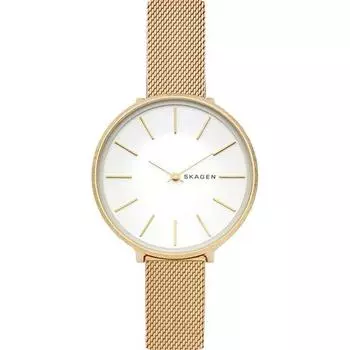Наручные часы Skagen SKW2722