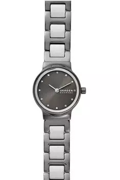 Наручные часы Skagen SKW2831