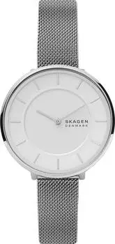 Наручные часы Skagen SKW3016