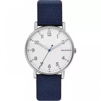 Наручные часы Skagen SKW6356