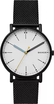 Наручные часы Skagen SKW6376