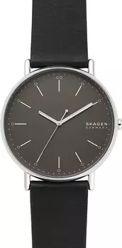Наручные часы Skagen SKW6528