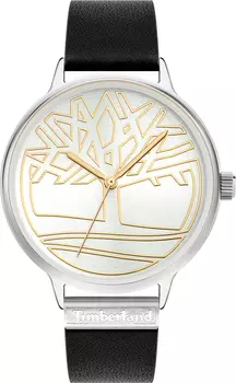 Наручные часы Timberland TBL.15644MYS/04