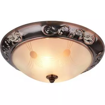 Настенно-потолочный светильник Arte lamp A3014PL-2AC