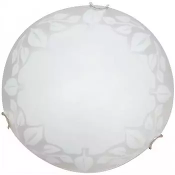 Настенно-потолочный светильник Arte lamp A4020PL-1CC