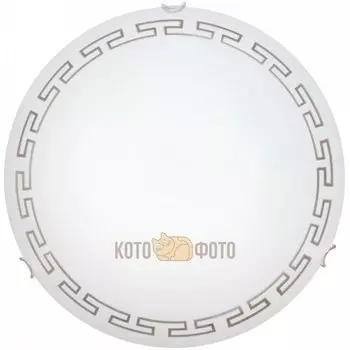 Настенно-потолочный светильник Arte lamp Antica A4220PL-2CC