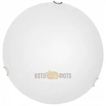 Настенно-потолочный светильник Arte Lamp Medusa A3720PL-2CC