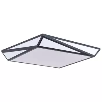 Настенно-потолочный светильник Arte lamp Multi-Piazza A1930PL-1BK