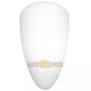 Настенно-потолочный светильник Arte Lamp PALE A6930AP-1WH