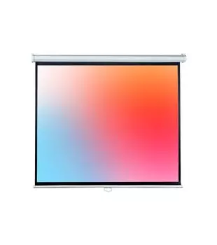 Настенный экран Lumien [Eco Picture] 206х274 (LEP-100115)