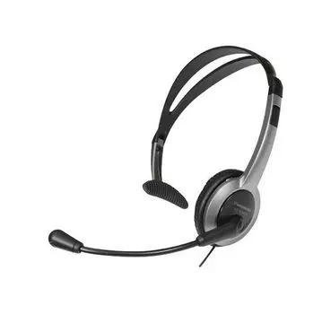 Наушники Panasonic RP-TCA430E-S серебристый