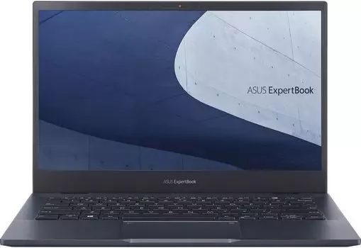 Ноутбук Asus ExpertBook B5 (90NX03S1-M06180)