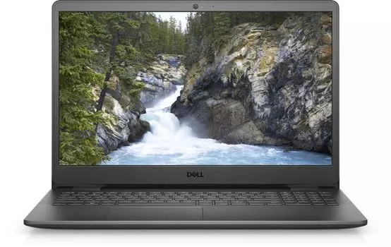 Ноутбук Dell Inspiron 3501 (3501-8229)