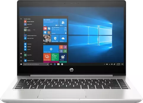 Ноутбук HP ProBook 445R G6 (7DD90EA)